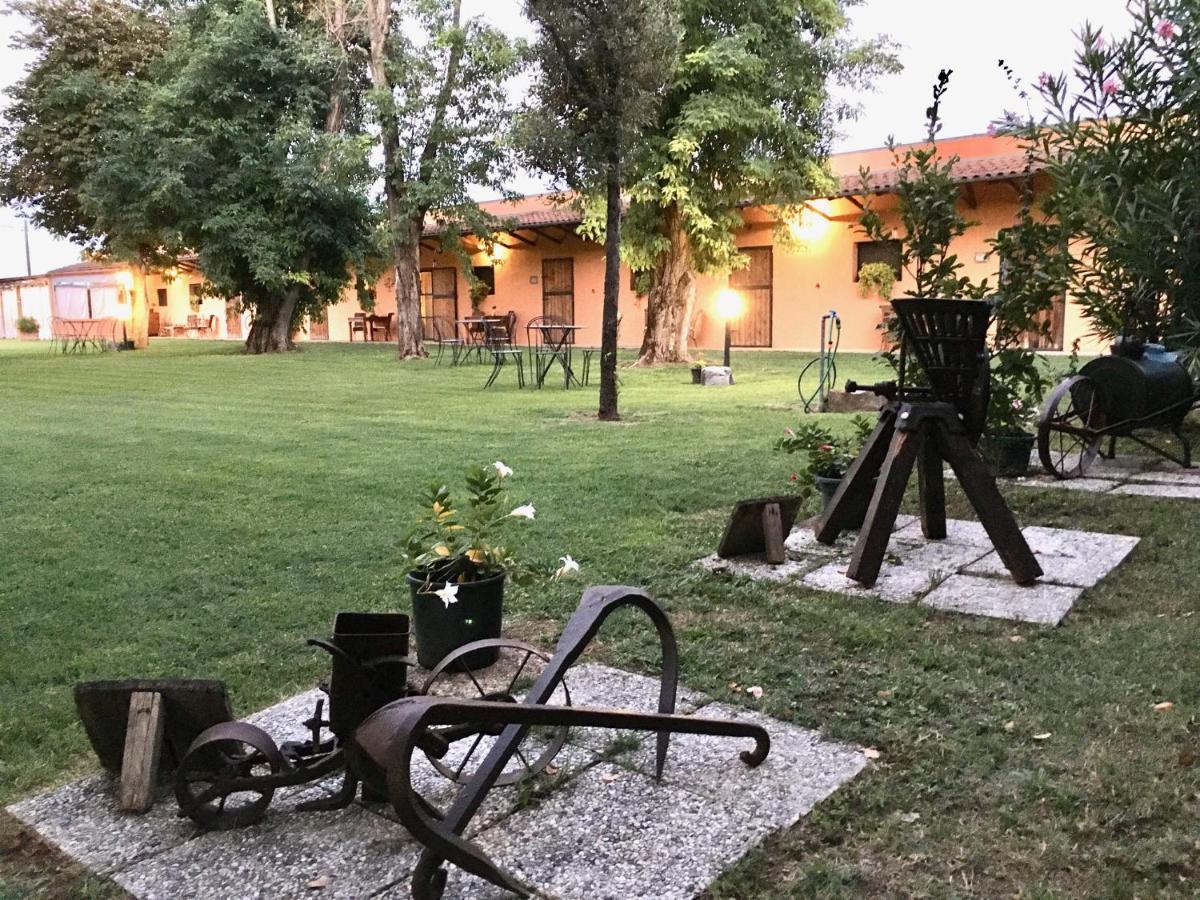 Societa Agricola Le More Agriturismo La Dondina Budrio  Bagian luar foto