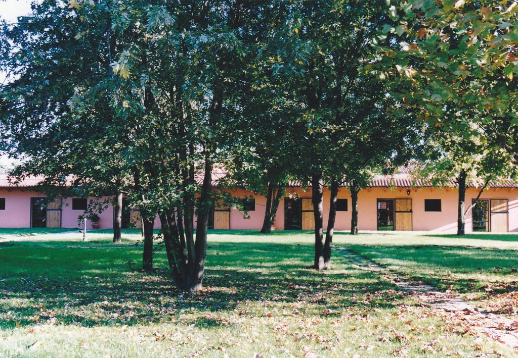 Societa Agricola Le More Agriturismo La Dondina Budrio  Bagian luar foto