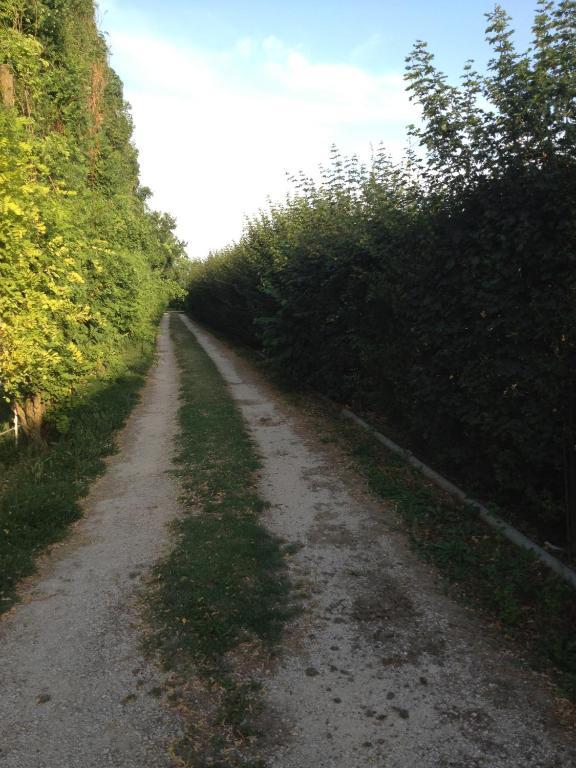 Societa Agricola Le More Agriturismo La Dondina Budrio  Bagian luar foto