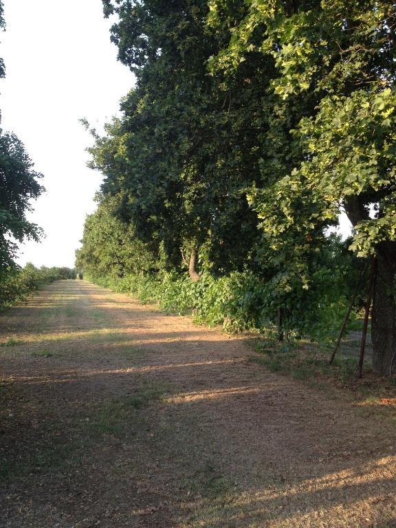 Societa Agricola Le More Agriturismo La Dondina Budrio  Bagian luar foto